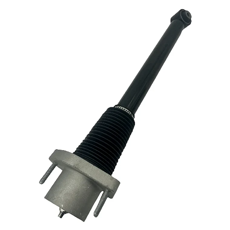 Amortisseurs — Mercedes-Benz L494 — LR045269