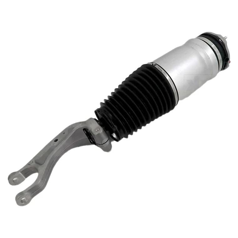 Shock absorbers — Mercedes-Benz Model X — 1067361-77C 1066366-00-E