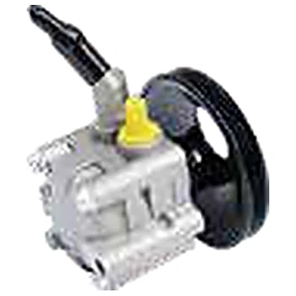 Pompes de direction — Nissan NISSAN SUNNY N16 B14 1.8 — 49110-WA610 / 49110-6J000