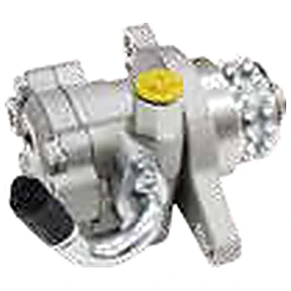 Pompes de direction — Nissan NISSAN X-TRAIL T30 YD22 2.2 DCI — 49110-8H800