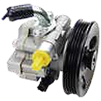 Steering pumps — Buick BUICK EXCELLE 1.5 — 9006506
