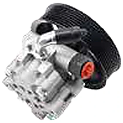 Pompes de direction — Land Rover LAND ROVER DISCOVERY 3 LAND ROVER RANGE ROVER SPORT 2.7L — LR006613 / QVB500400